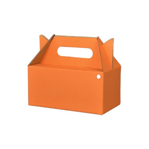 10 Loncheras Grande 20.5x12x10+8